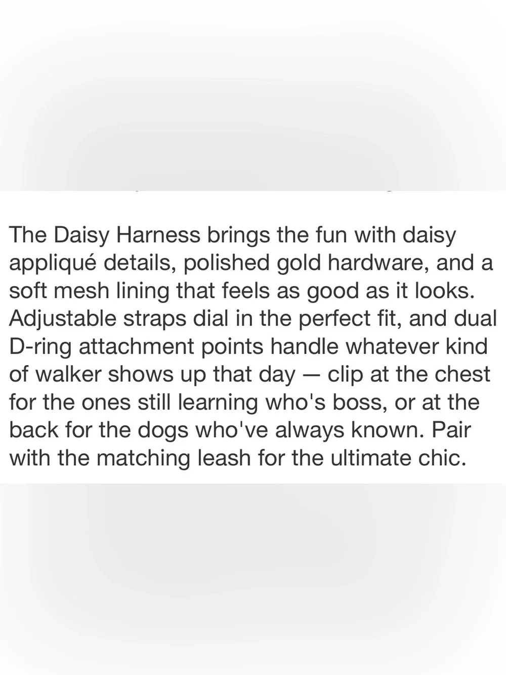 Hooray House Daisy Dog Harness Medium NWT